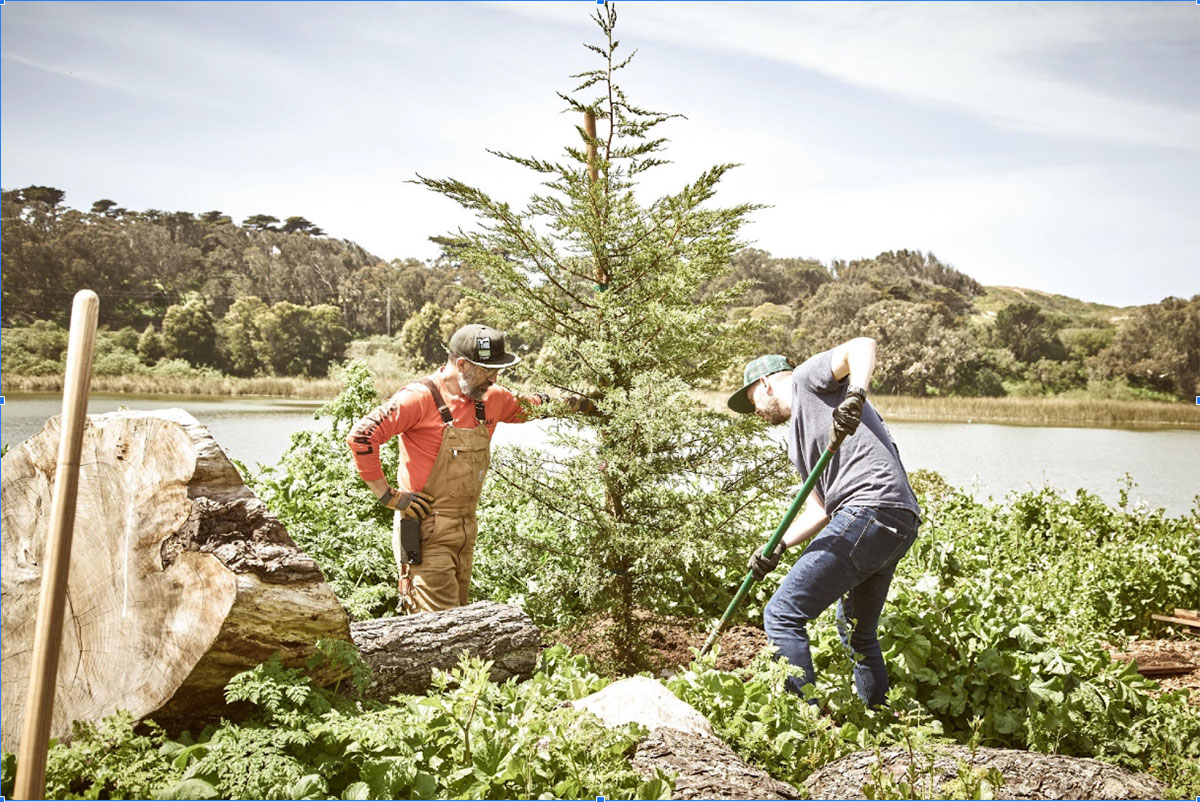 Forest Restoration Redwood Empire Whiskey